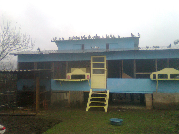 Anul 2012 - Exterior Crescatorie