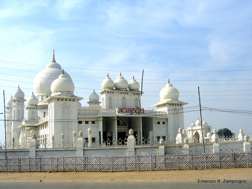 15981461 - India