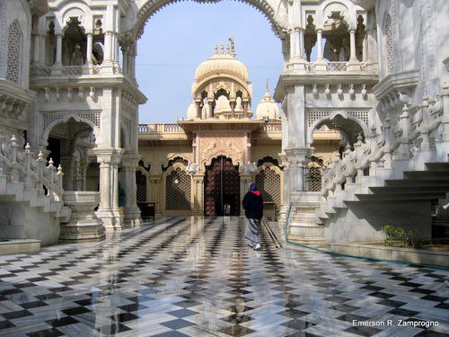 15981481 - India