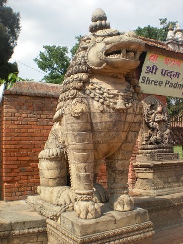 53609791 - India