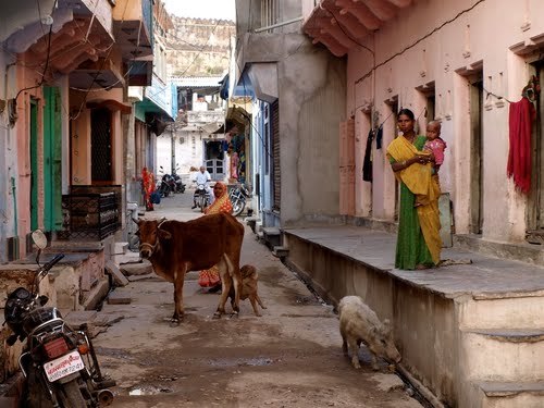 55498459 - India