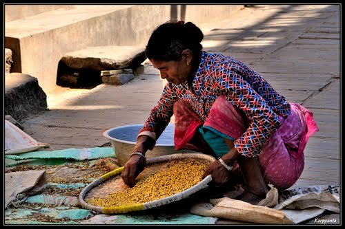 62513661 - India