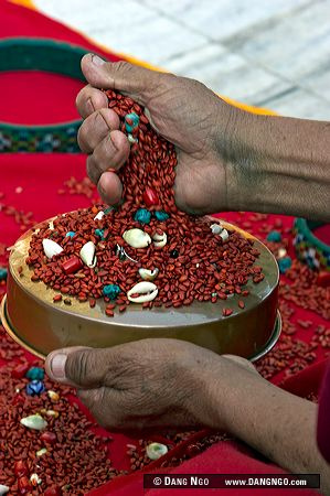 507324412_8c87f8d487 - India