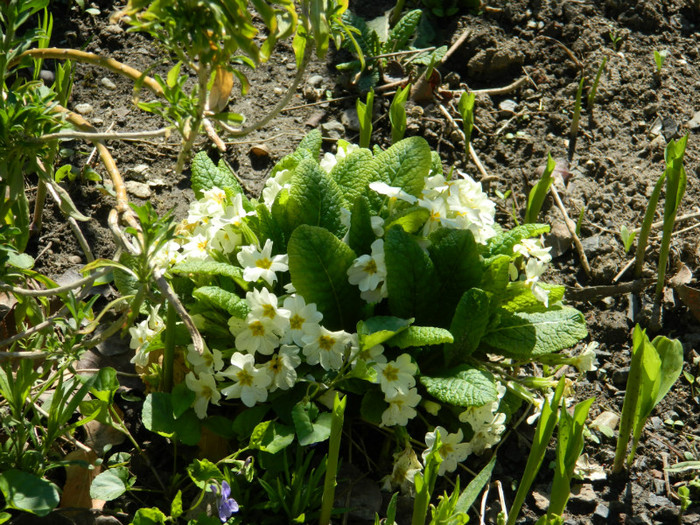 DSCN2176