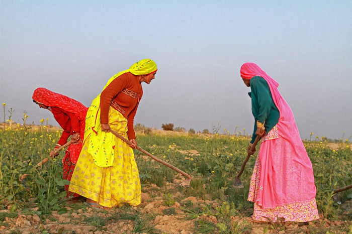 6625640721_54f3bce92b_o