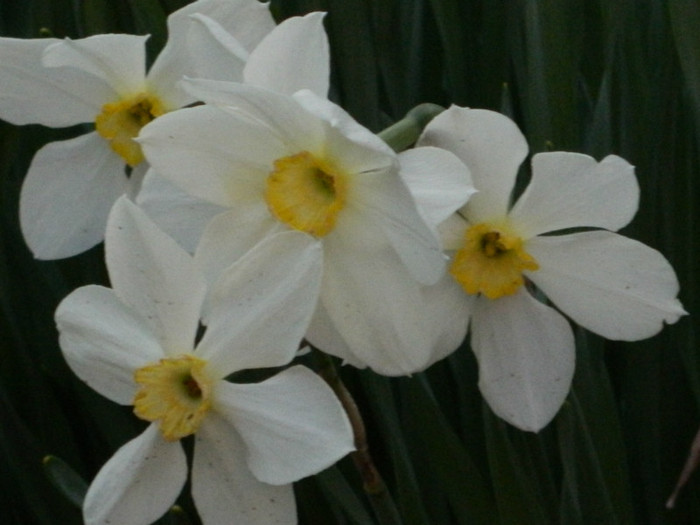 DSCN2261