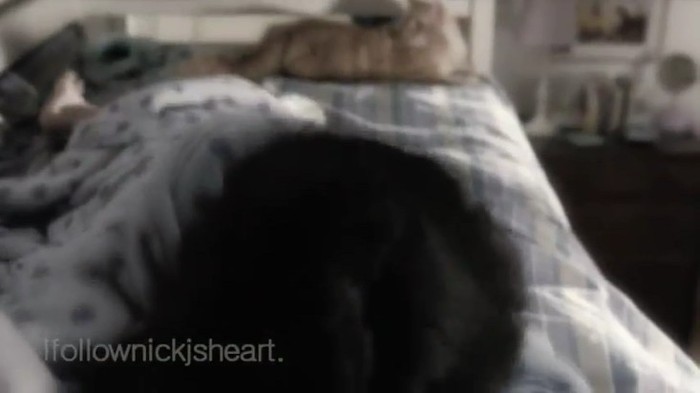 ♭ Dobitoacaa !!!! =[[[[[[