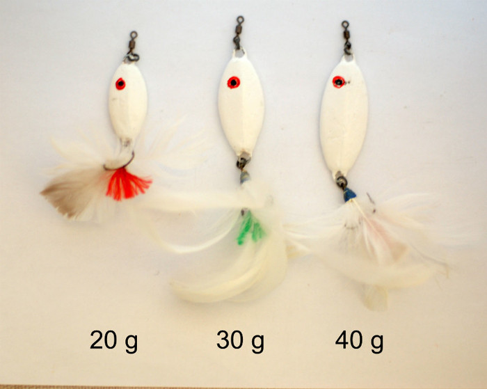 Blinkere avat; pentru pescuitul rapitorilor,in special avatului,ce sta la adincime .
