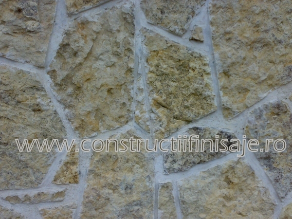 Piatra decorativa 5
