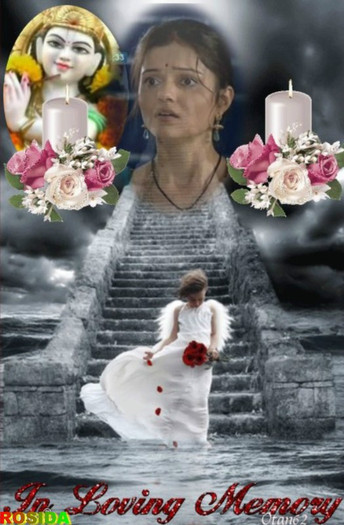 14515258 - Rubina Dilaik