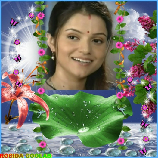 22645538 - Rubina Dilaik