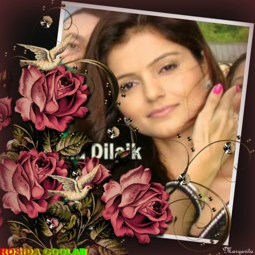 25837349 - Rubina Dilaik