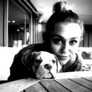 images - Ce catel dragut are Miley Cyrus