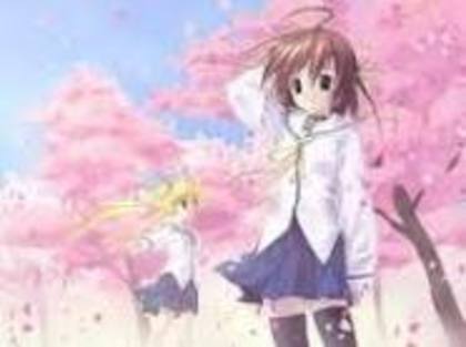 Imi place si primavara cand renaste natura si toate visele parca devin realitate