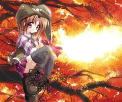 Imi place toamna si culorile ei D