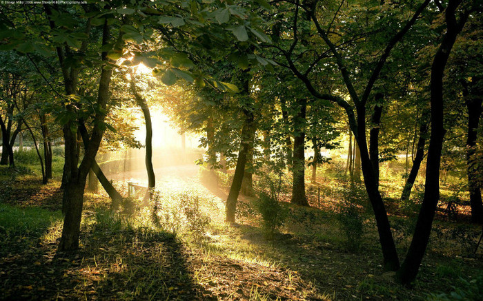 00559_dawninmadrid_2560x1600 - wallpapers peisaje