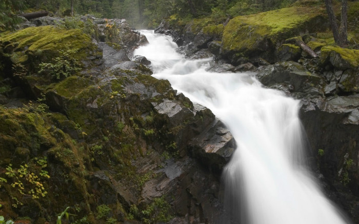 00576_greenfall_1920x1200