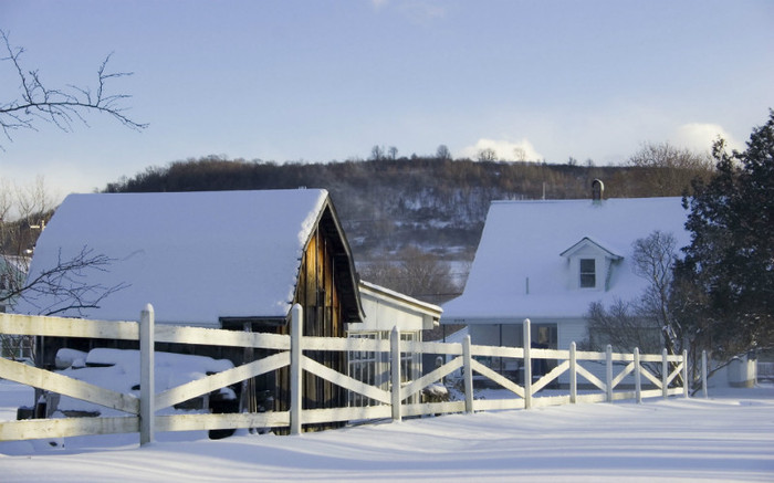 00592_winterinny_1920x1200