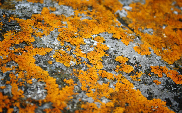 00967_stonebretagne_1920x1200