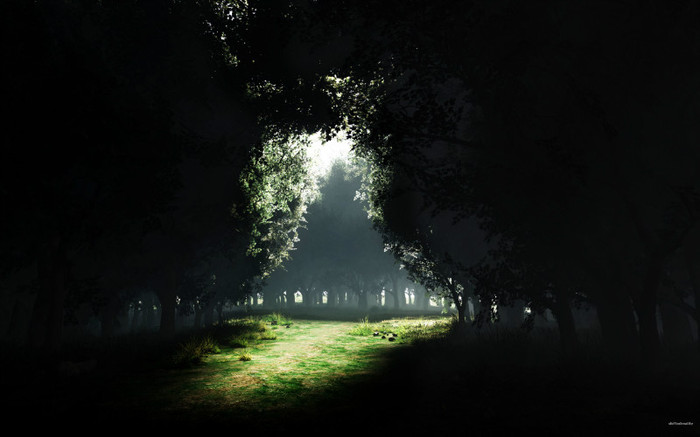 01156_darknesstolight_2560x1600