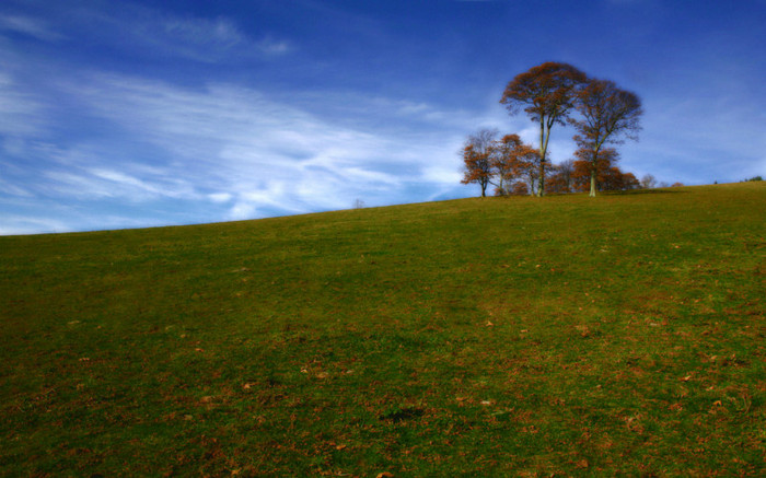 01194_indiantreehill_2560x1600