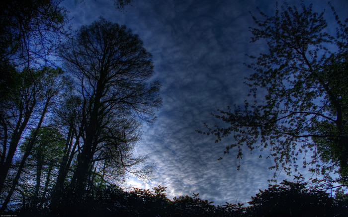 01306_bluemorning_2560x1600 - wallpapers peisaje
