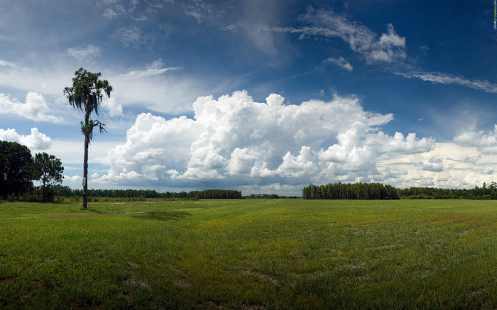 01335_aloneagainstthestorm_2560x1600