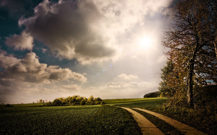 01461_sunnyhighlands_2560x1600 - wallpapers peisaje