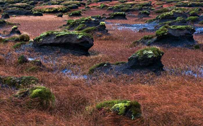 01496_bogfielddonegal_1920x1200 - wallpapers peisaje