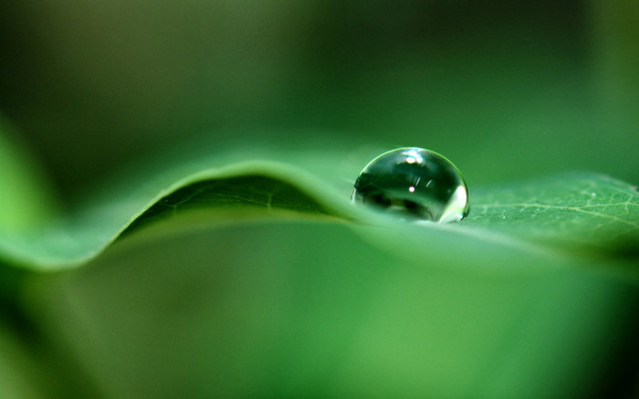 01498_waterorb_2560x1600 - wallpapers peisaje