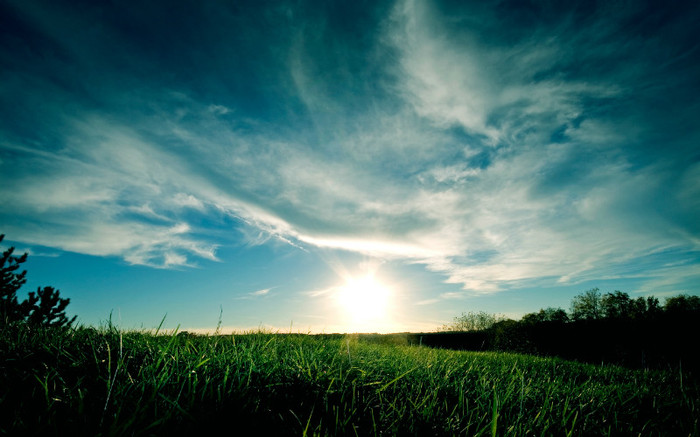 01537_grassysunset_2560x1600