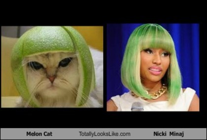 melon-cat-totally-looks-like-nicki-minaj - Asemanari