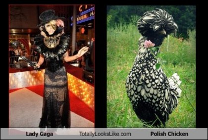 lady-gaga-totally-looks-like-polish-chicken - Asemanari