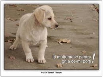 images (18)