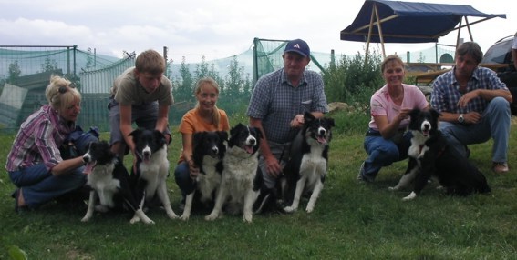 Hunde4-caini Collie