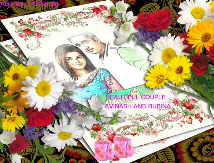 39661201 - Rubina and Avinash