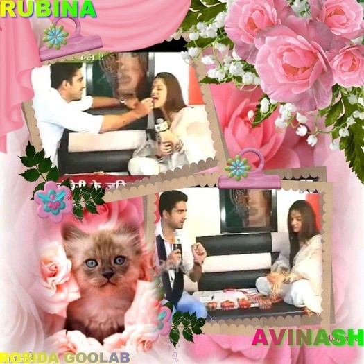 49945496 - Rubina and Avinash