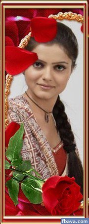 252649_205291379514326_186219538088177_575925_4299716_n