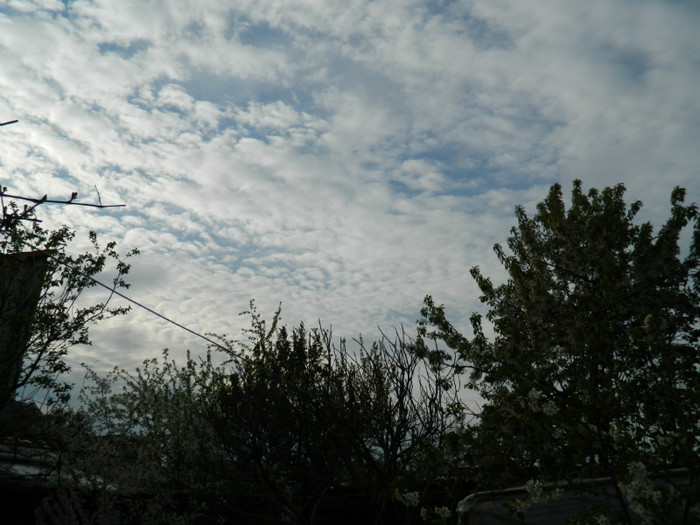DSCN2357