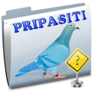 6666 - Porumbei pripasiti - Stray pigeons