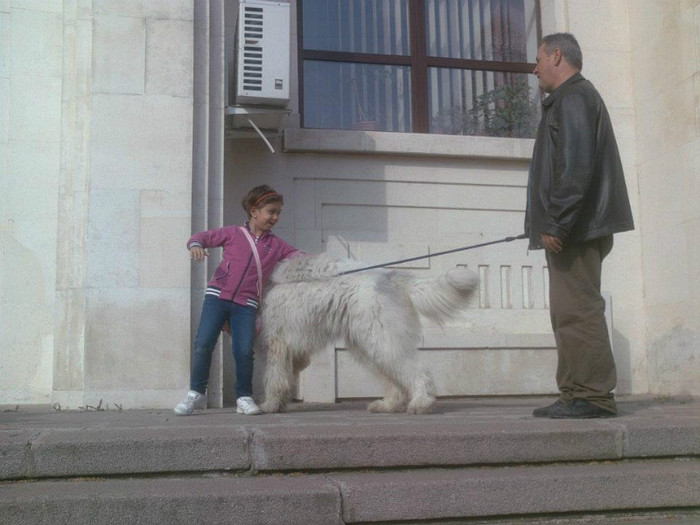 Cadana de Romania 24