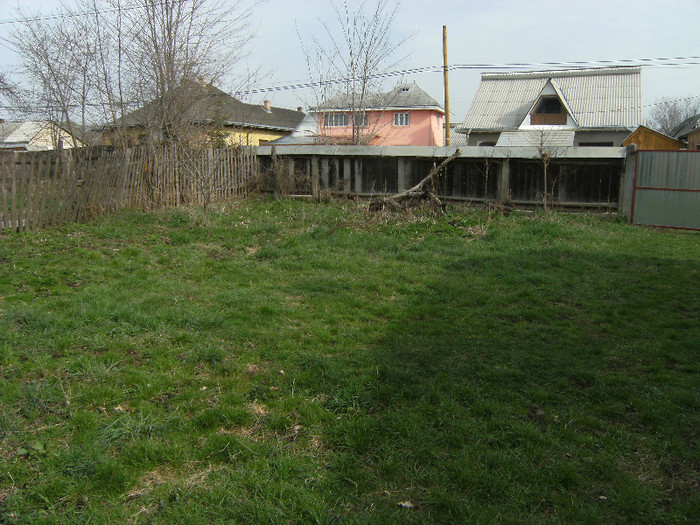 iarba in parcare 12 april