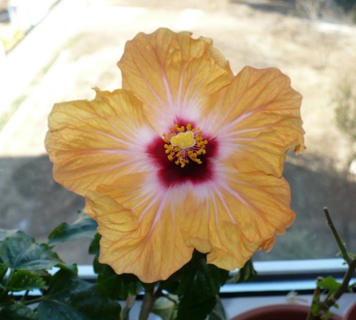 P1380372