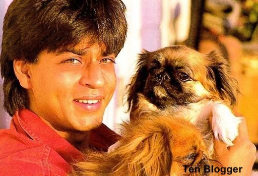 Shahrukh Khan Family Pictures 27