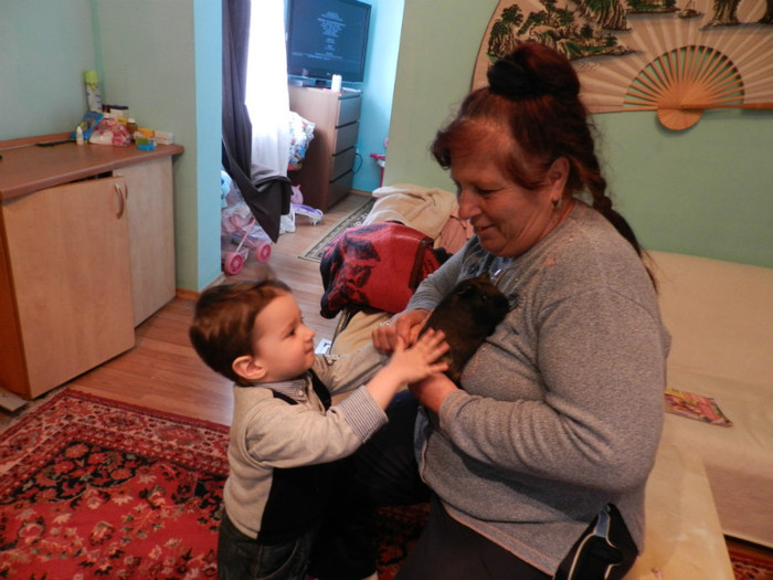 CE PURCELUS MIC ARE MAMAIE MARIA