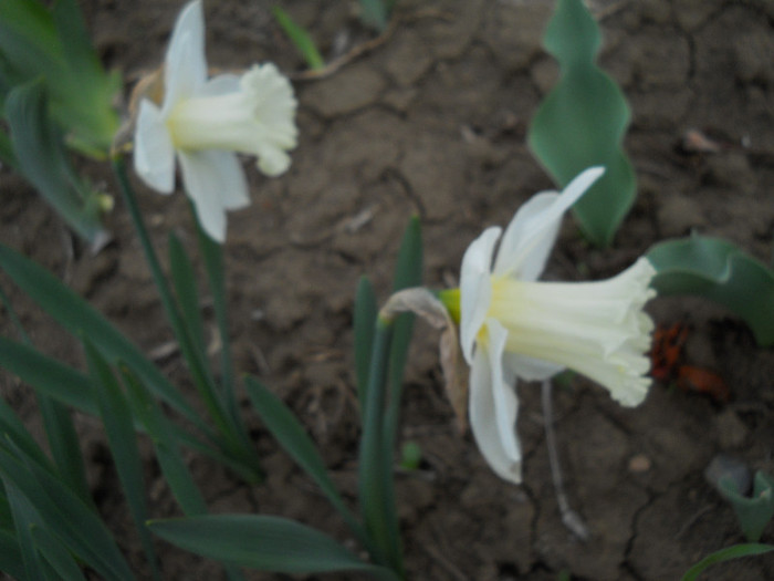 DSCN2388