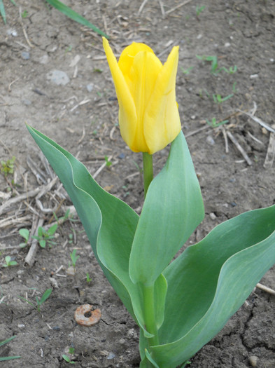 DSCN2397
