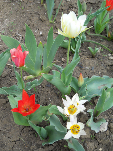 DSCN2402