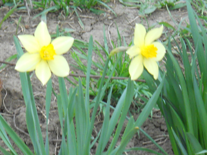 DSCN2415