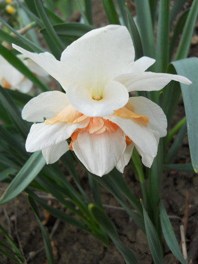 DSCN2435